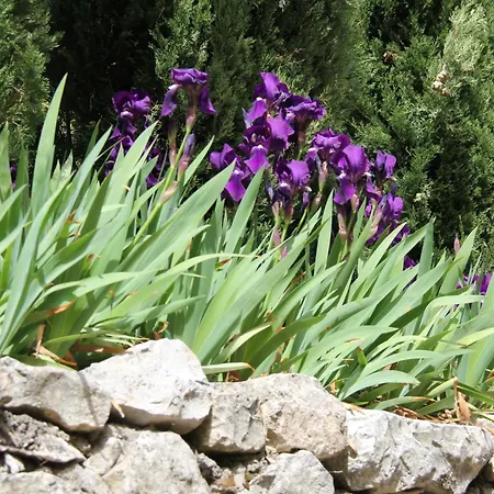 Villa Bastide Provencale - Salle De Jeux - Gd Piscine - Clim - Jardin Ombrage 2000m Montelimar